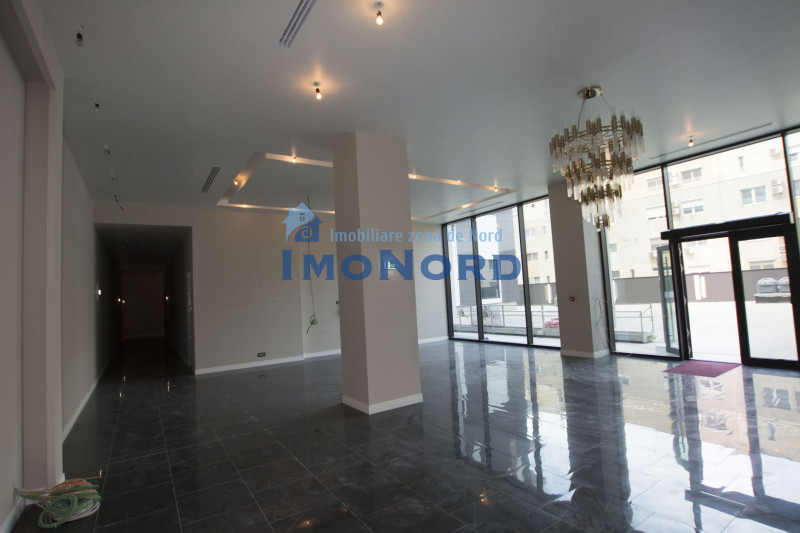 Apartament  cu 5 camere în complex exclusivist, langa Parcul Herastrau 