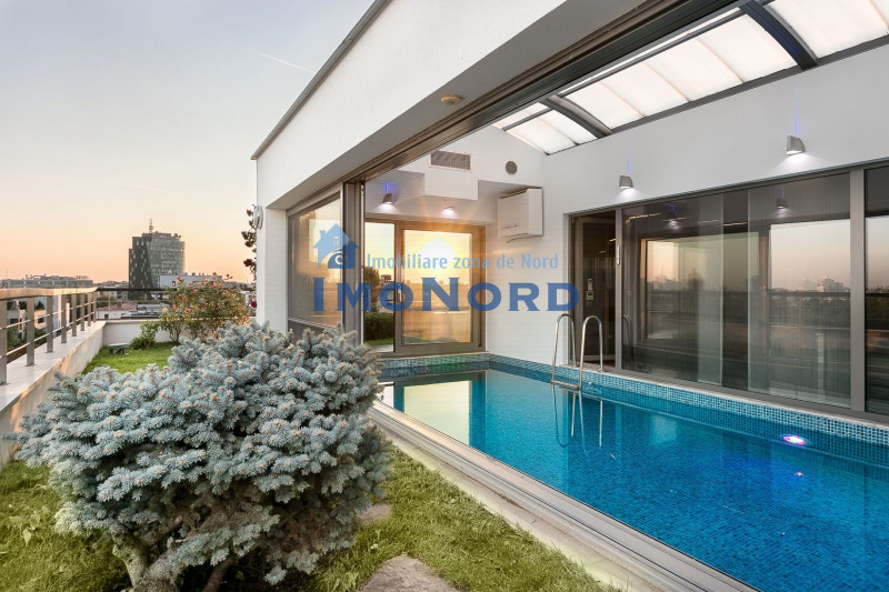 One Luxury & Exclusive Penthouse with Pool and Panoramic View in Primaverii