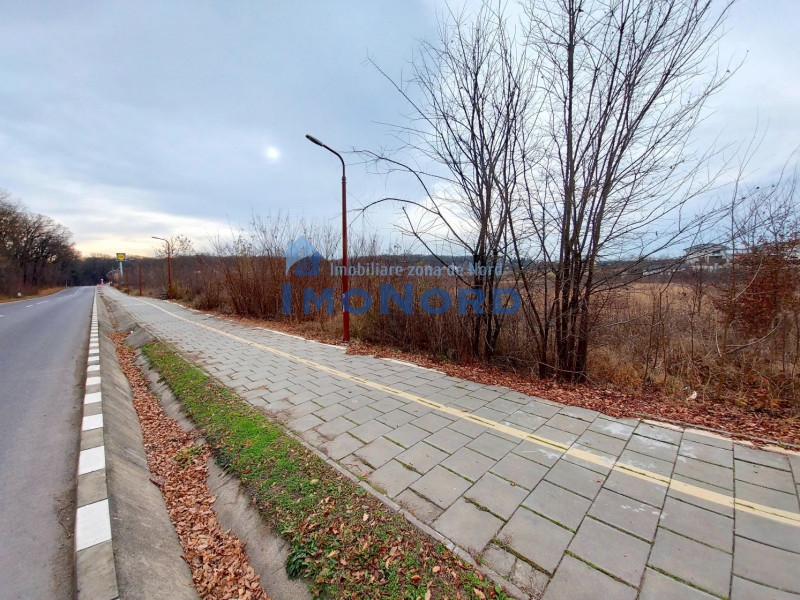 Snagov - Artha Park, teren intravilan 2.993mp intre padure si lac!