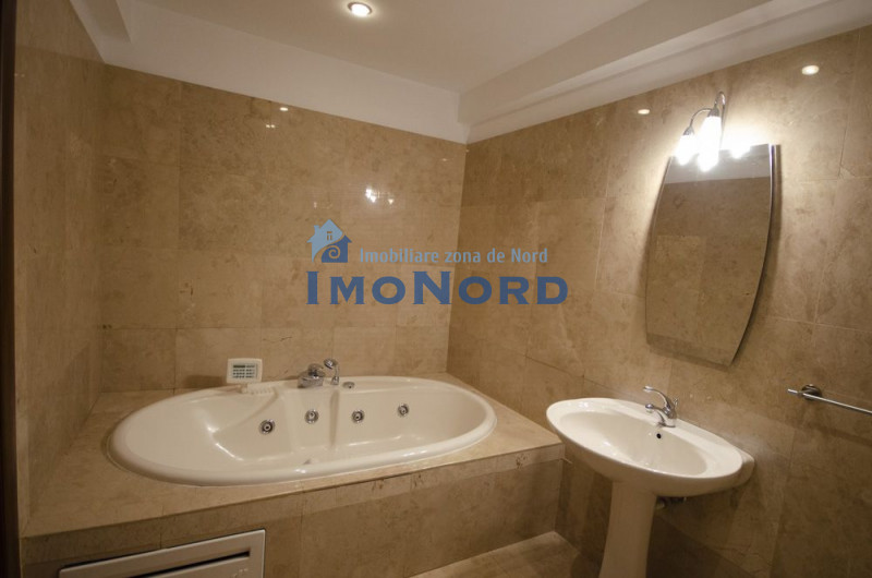 Parcul Herastrau inchiriere penthouse 6 camere