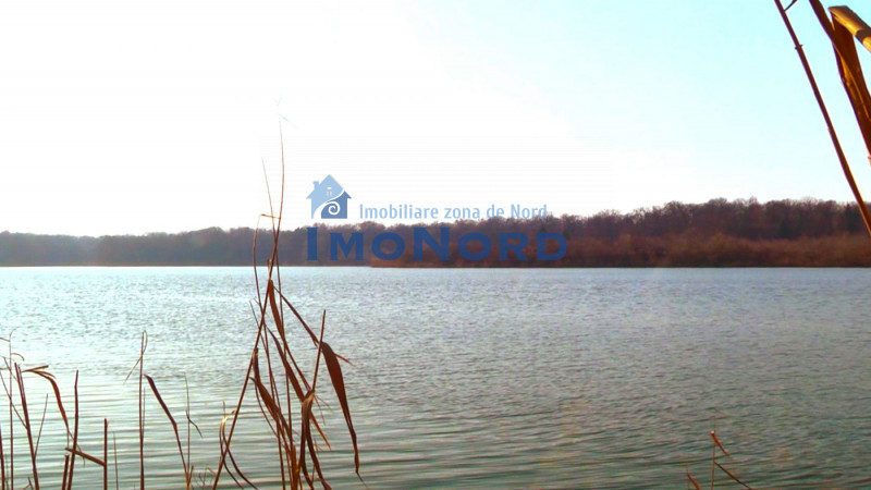Snagov vila cu ponton pe lac. Visul nu are limite!