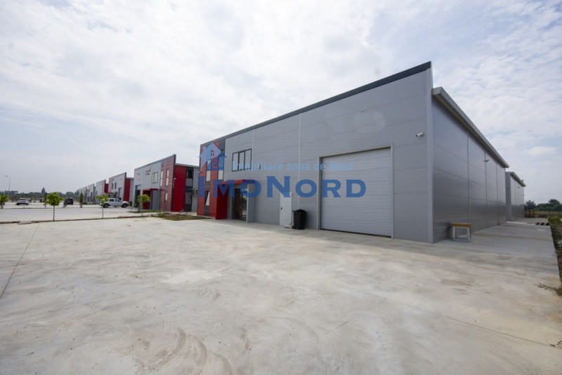 Hala Nouă de Închiriat în Zona Rudeni Chitila Chiajna - Parc Industrial 