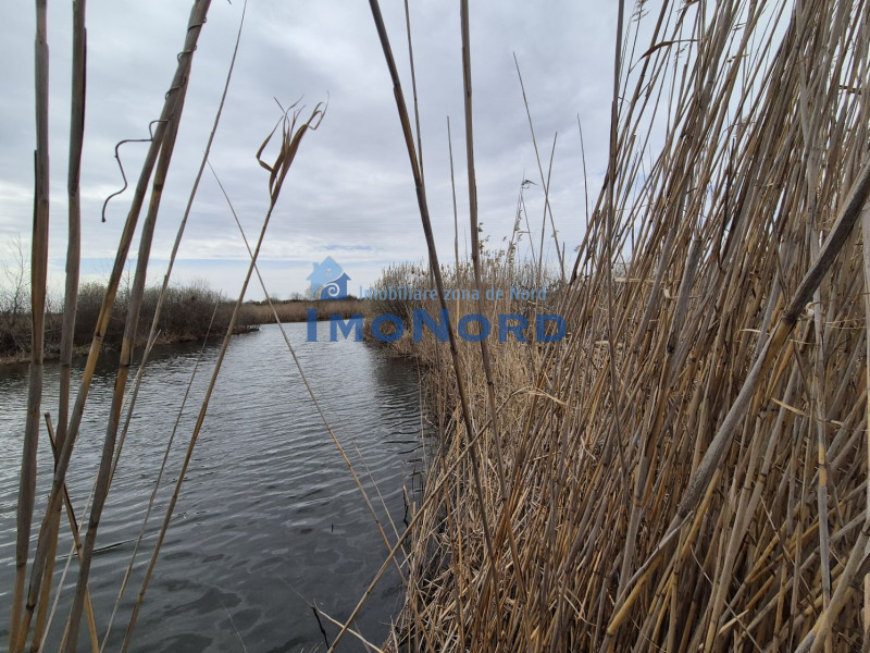 Teren 2500 mp – Izvorani | Deschidere directă la lac 