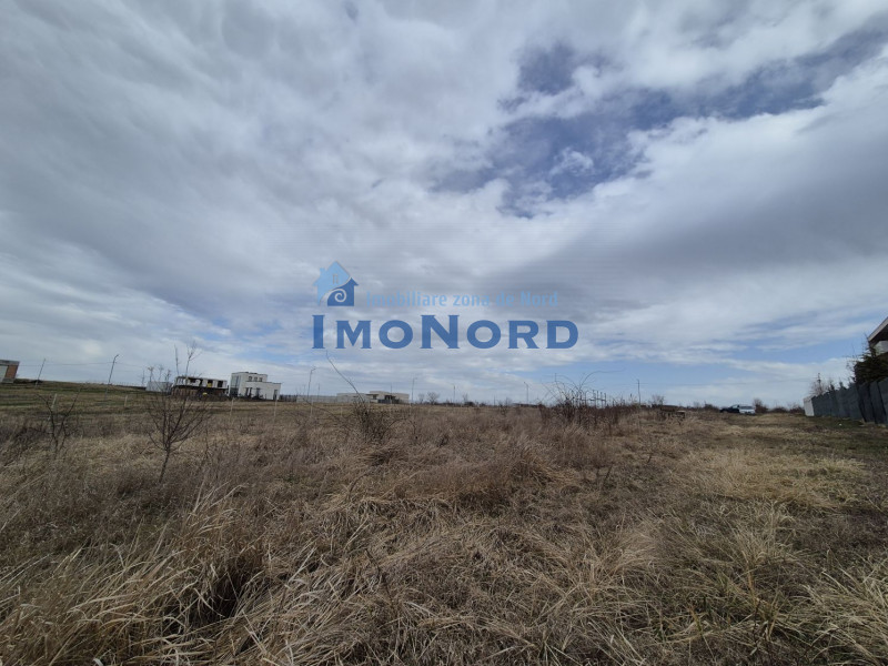 Teren 2500 mp – Izvorani | Deschidere directă la lac 