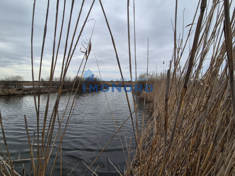 Teren 2500 mp – Izvorani | Deschidere directă la lac 
