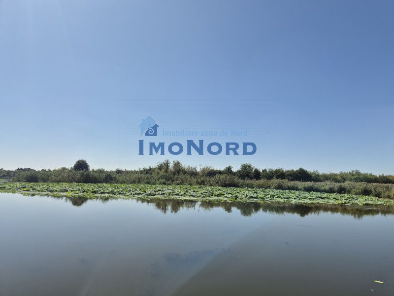 Teren 2500 mp – Izvorani | Deschidere directă la lac 