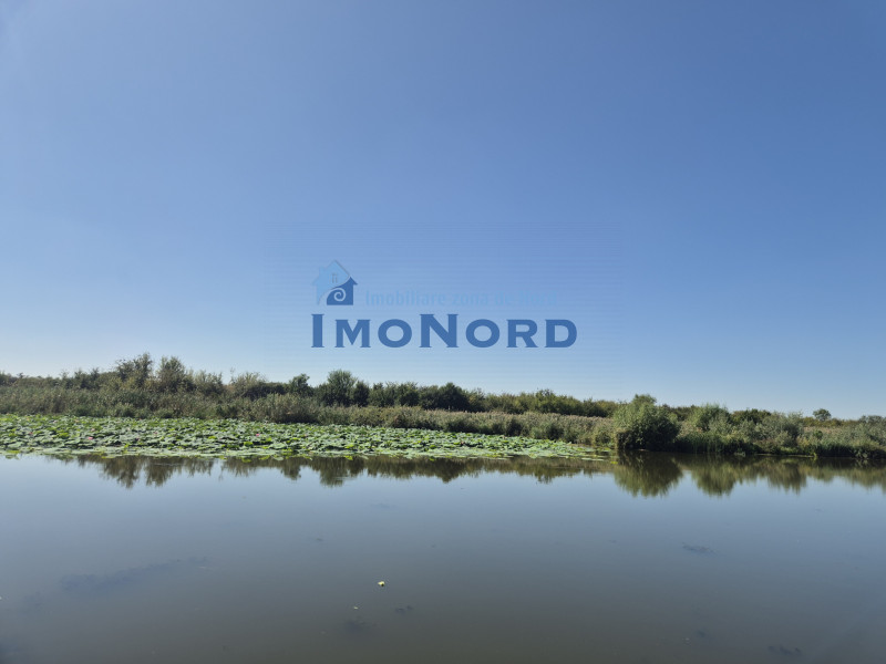 Teren 2500 mp – Izvorani | Deschidere directă la lac 