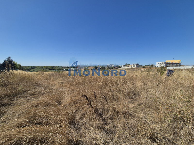 Teren 2500 mp – Izvorani | Deschidere directă la lac 