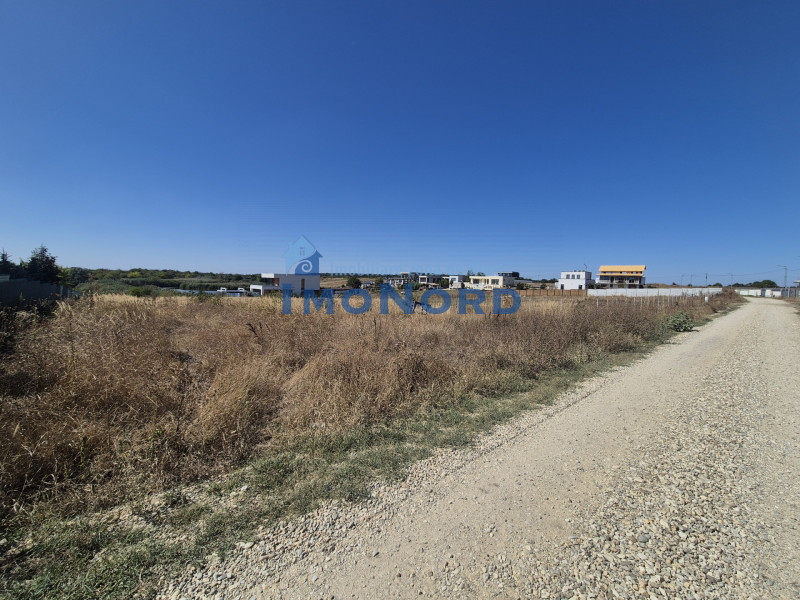 Teren 2500 mp – Izvorani | Deschidere directă la lac 