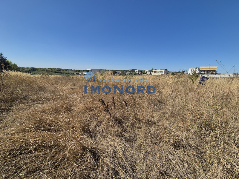 Teren 2500 mp – Izvorani | Deschidere directă la lac 