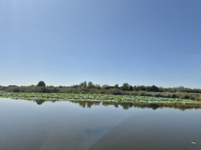 Teren 2500 mp – Izvorani | Deschidere directă la lac 