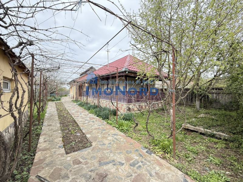 Snagov Izvorani casa locuibila cu livada de pomi fructiferi