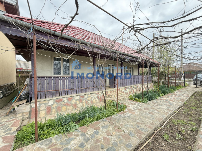 Snagov Izvorani casa locuibila cu livada de pomi fructiferi