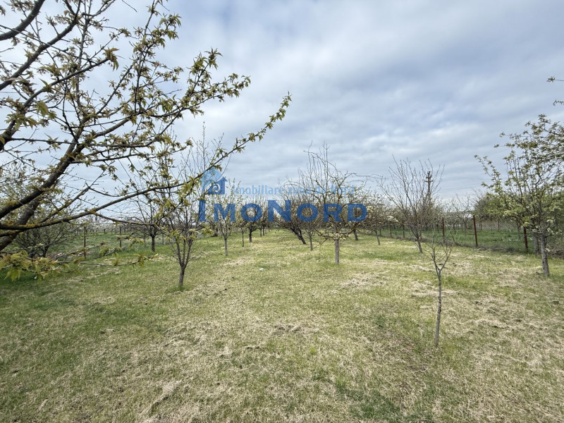 Snagov Izvorani casa locuibila cu livada de pomi fructiferi