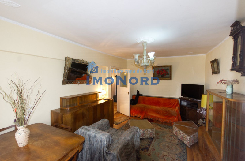 Apartament 3 camere de vânzare vedere spate – Bulevardul Tei | necesita renovare