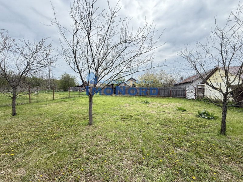 Snagov Izvorani casa locuibila cu livada de pomi fructiferi