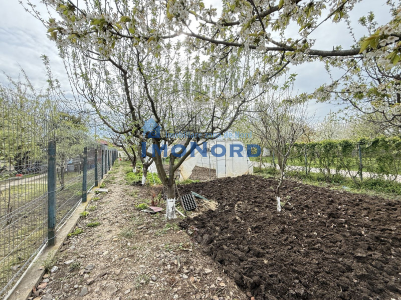 Fundulea, la 300m de acces A2,  casa P+M locuibila, gradina superba !