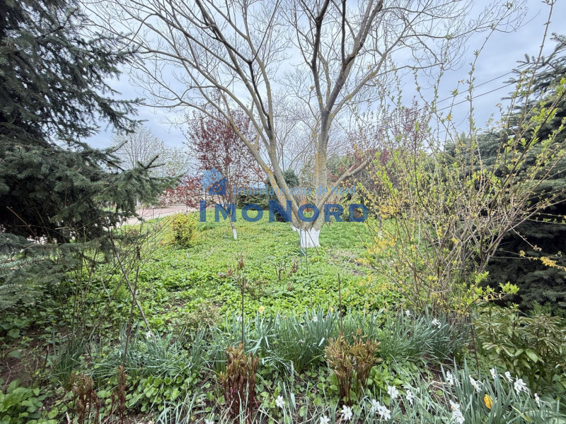 Fundulea, la 300m de acces A2,  casa P+M locuibila, gradina superba !