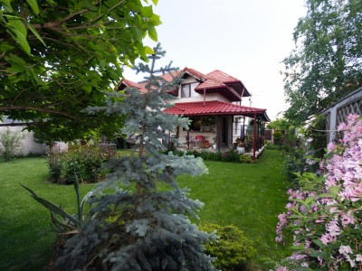 Vila ideală pentru familie, cu curte mare și grădină, în Tunari 