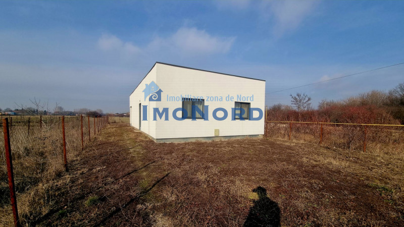 Vila de Vânzare în Mihai Vodă, lângă Bolintin Deal