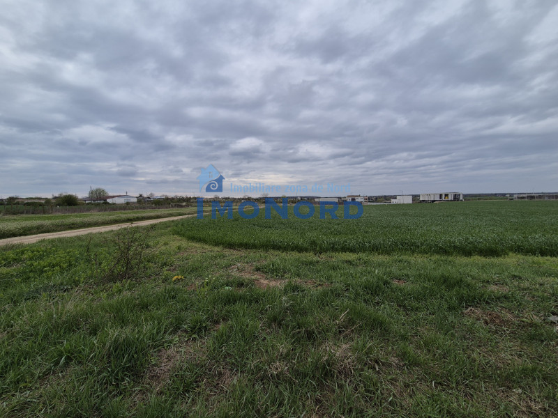  Teren intravilan Izvorani - Delta Snagov 
