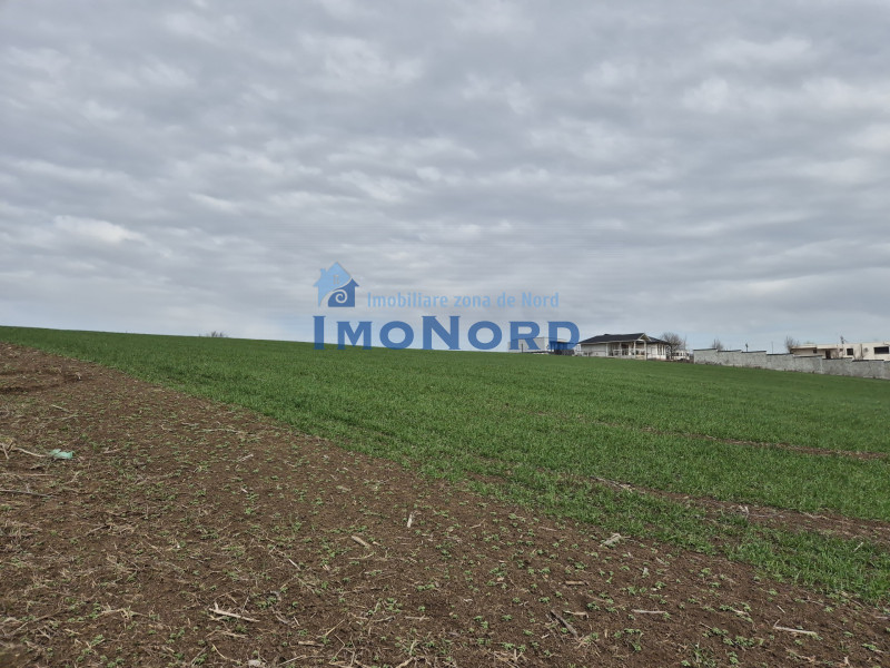 Teren ideal pentru rezidențial – Izvorani, zonă premium lângă lac