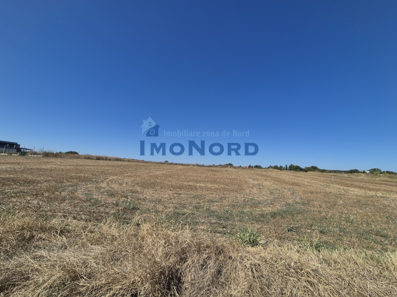 Teren ideal pentru rezidențial – Izvorani, zonă premium lângă lac