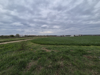  Teren intravilan Izvorani - Delta Snagov 