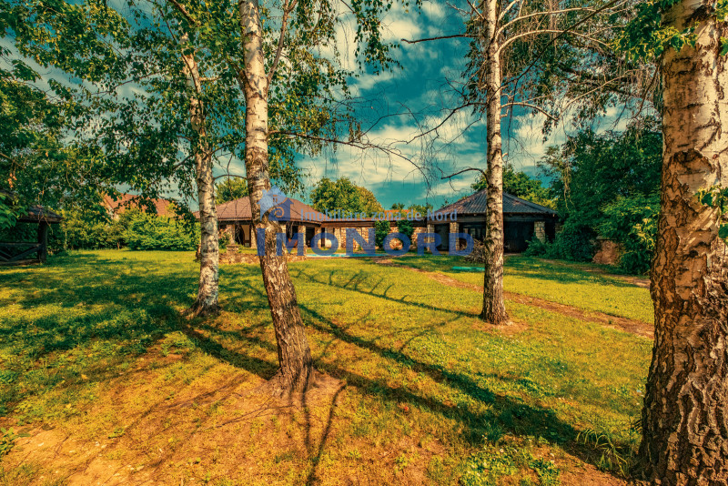 Casa superba cu vedere la lac in Izvorani – piscina, natura,si potential imens!