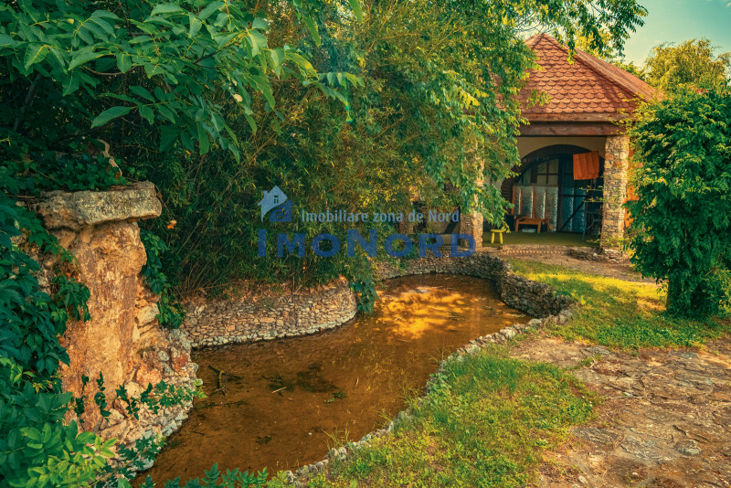 Casa superba cu vedere la lac in Izvorani – piscina, natura,si potential imens!