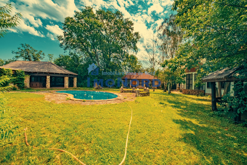 Casa superba cu vedere la lac in Izvorani – piscina, natura,si potential imens!