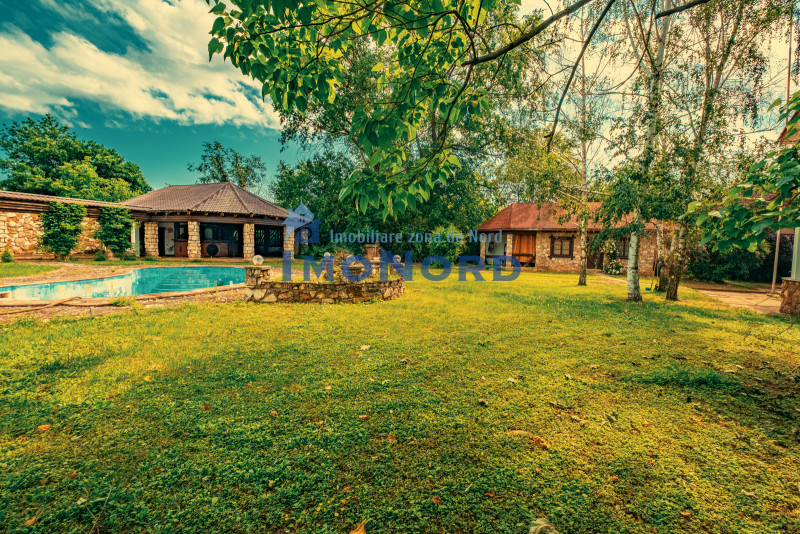 Casa superba cu vedere la lac in Izvorani – piscina, natura,si potential imens!