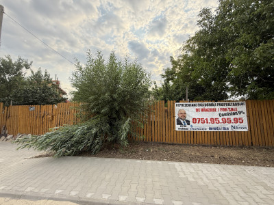Casa cu teren, tripla deschidere strada Tunari-Dimieni 