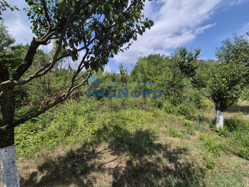Voluntari - Popasului stradal inchiriere 500 mp teren