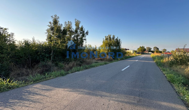 Teren 6700 mp Olteni, jud. Dâmbovița – la doar 900 m de Autostrada A1 (km 63)
