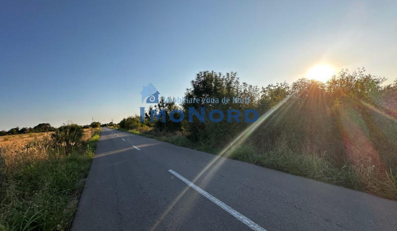 Teren 6700 mp Olteni, jud. Dâmbovița – la doar 900 m de Autostrada A1 (km 63)