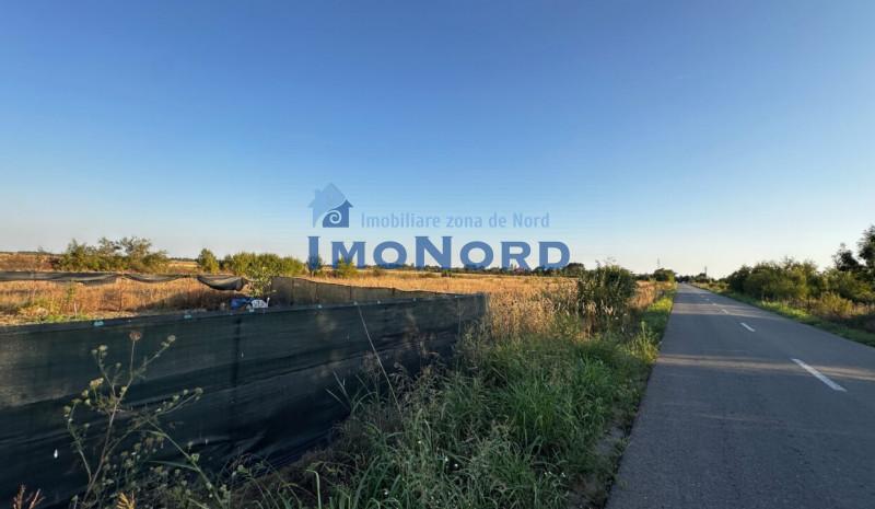 Teren 6700 mp Olteni, jud. Dâmbovița – la doar 900 m de Autostrada A1 (km 63)