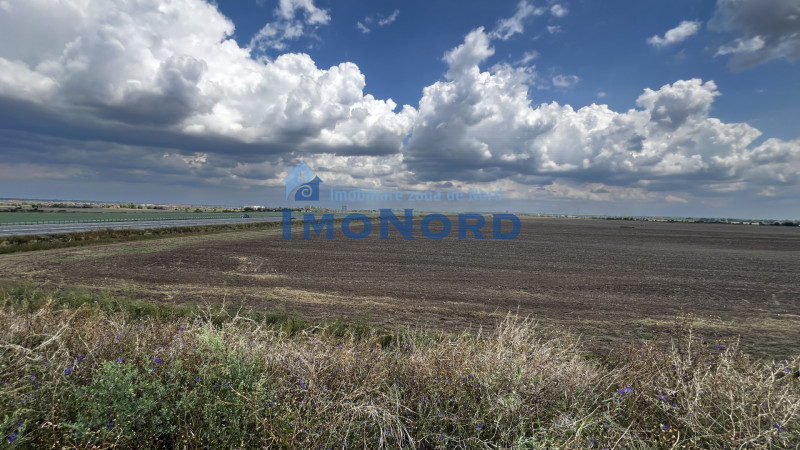 Teren 14 HA conex Autostrada A0 Nord pretabil dezvoltare logistica/rezidentiala