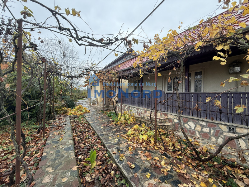 Casa cu livada Izvorani la 300m de Lacul Snagov asfalt si utilitati