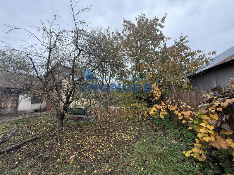 Casa cu livada Izvorani la 300m de Lacul Snagov asfalt si utilitati