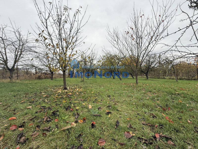 Casa cu livada Izvorani la 300m de Lacul Snagov asfalt si utilitati