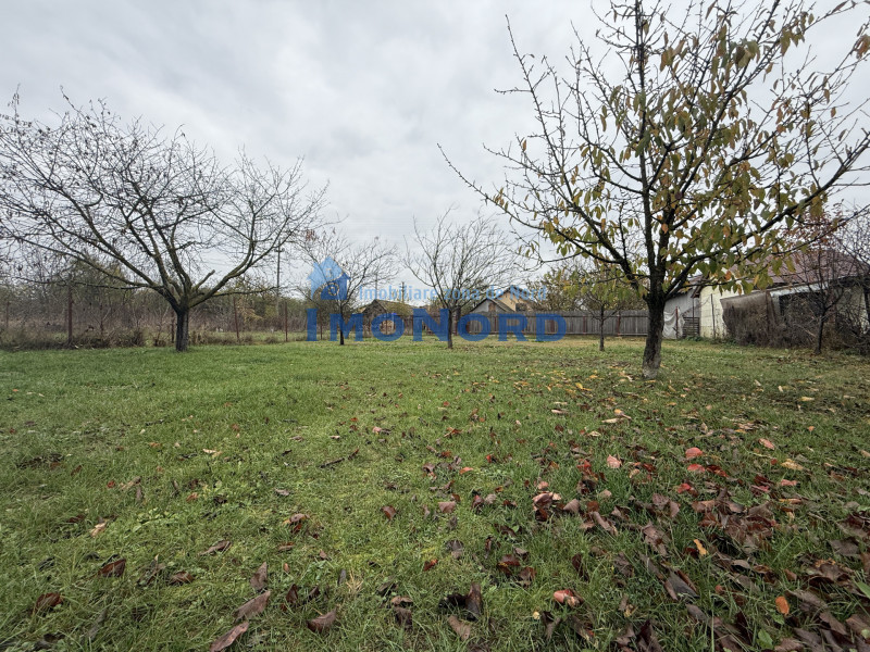 Casa cu livada Izvorani la 300m de Lacul Snagov asfalt si utilitati