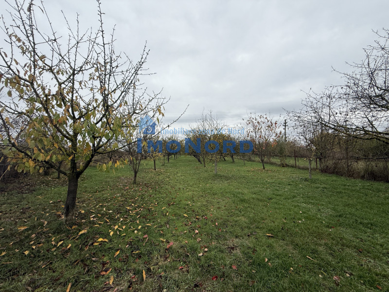 Casa cu livada Izvorani la 300m de Lacul Snagov asfalt si utilitati