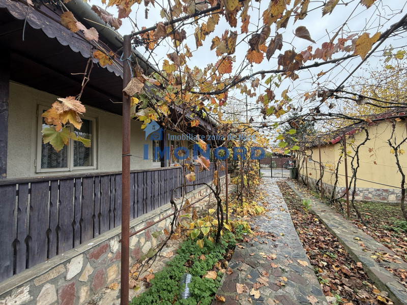 Casa cu livada Izvorani la 300m de Lacul Snagov asfalt si utilitati