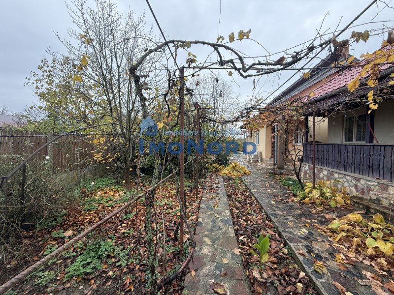 Casa cu livada Izvorani la 300m de Lacul Snagov asfalt si utilitati