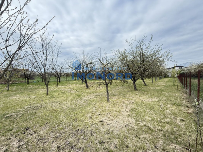 Casa cu livada Izvorani la 300m de Lacul Snagov asfalt si utilitati