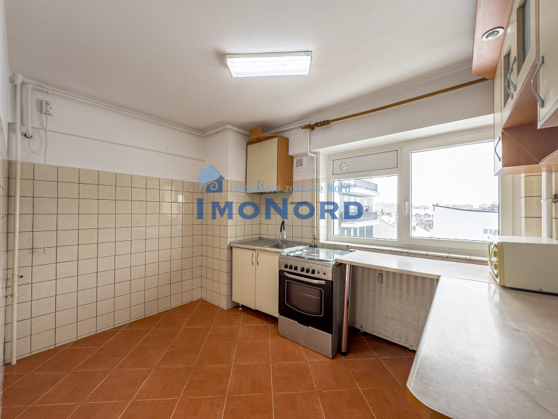 3 camere Ion Mihalache