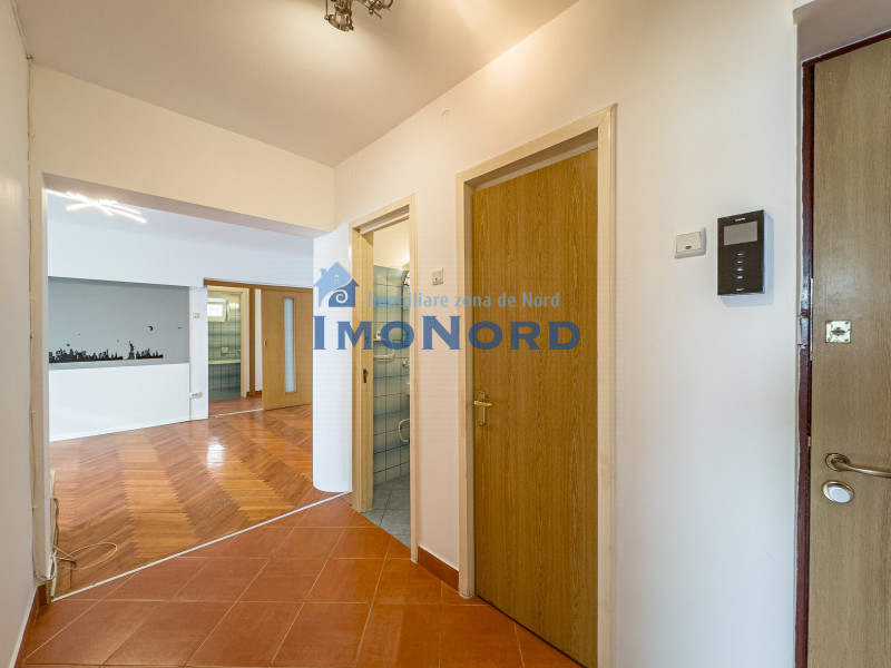 3 camere Ion Mihalache