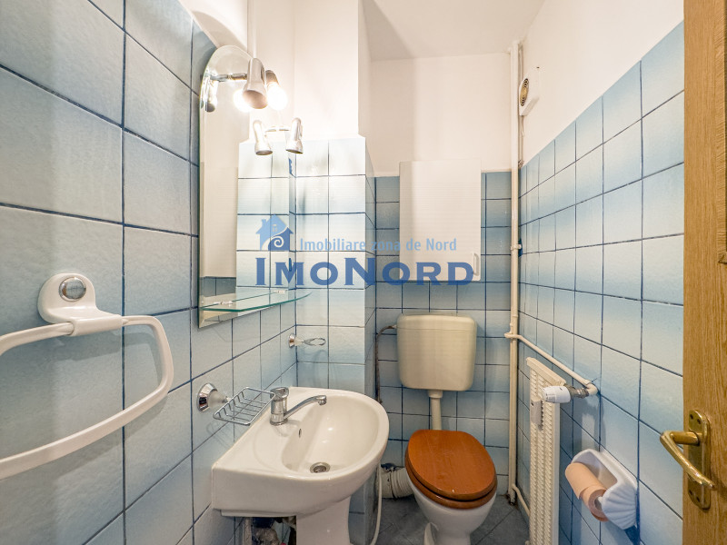 3 camere Ion Mihalache