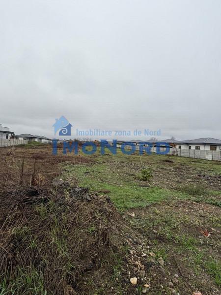 Tamasi, Corbeanca – teren 9838 mp